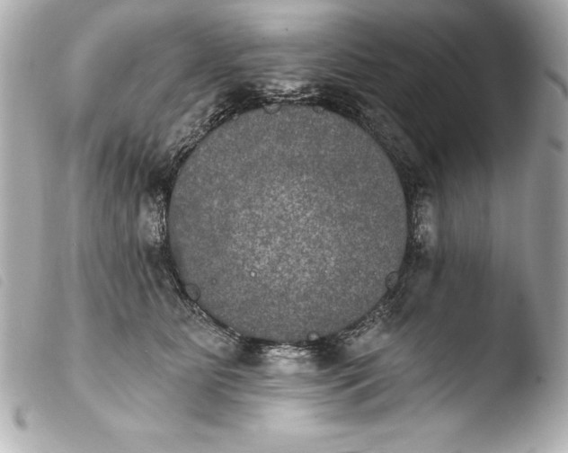 X0000103950515200810031349