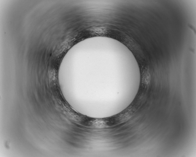 X0000103950518200810031349