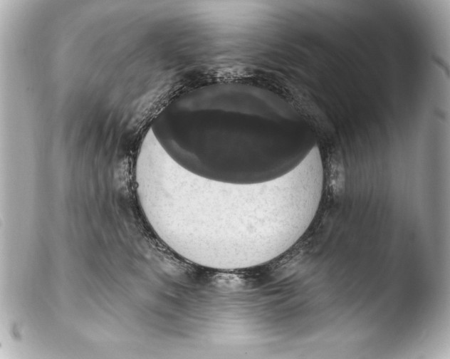 X0000103950519200810031349