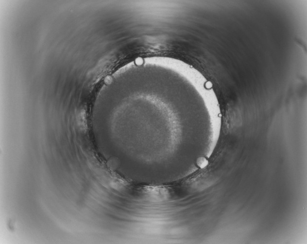 X0000103950520200810031349