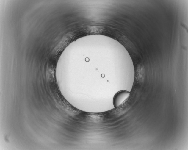 X0000103950522200810031349