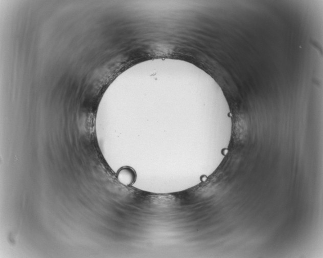 X0000103950525200810031349