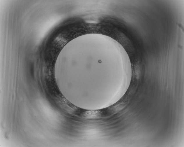 X0000103950526200810031348