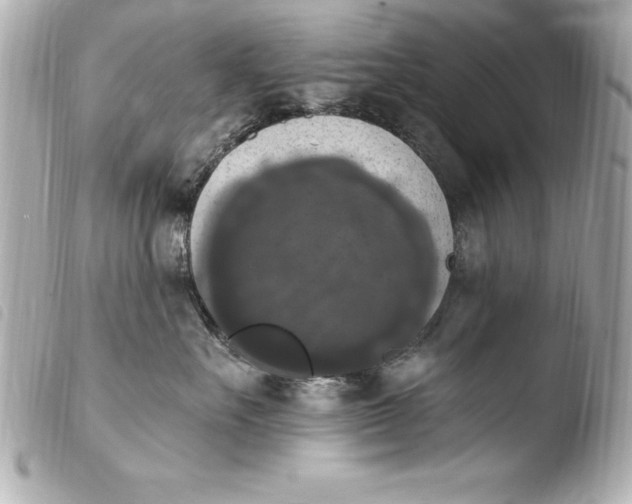 X0000103950527200810031348