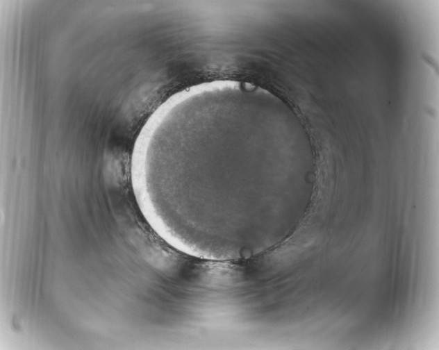 X0000103950528200810031348