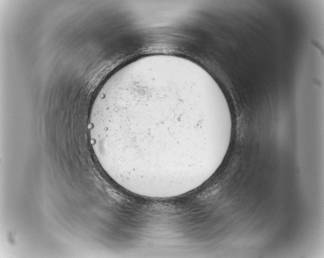 X0000103950529200810031348