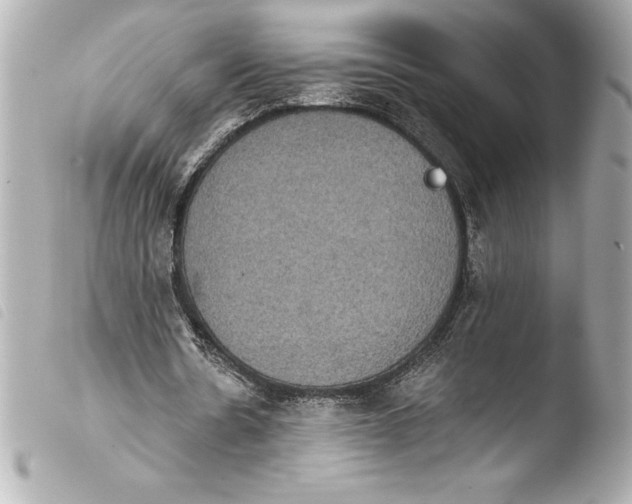 X0000103950530200810031348