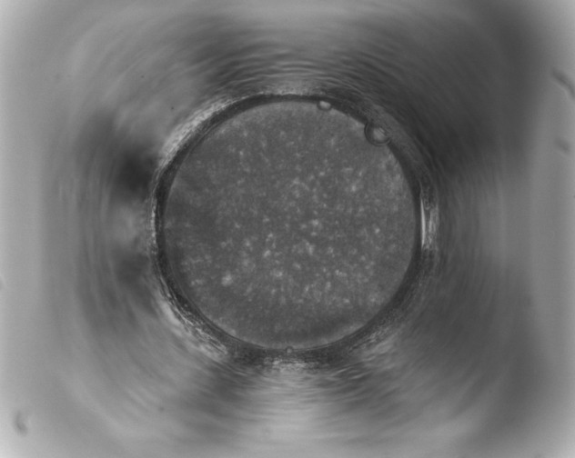 X0000103950531200810031348