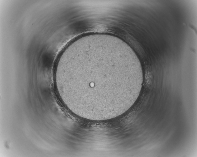 X0000103950532200810031348