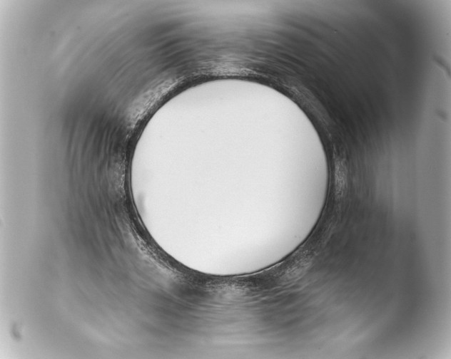 X0000103950533200810031348