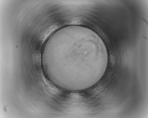 X0000103950534200810031348