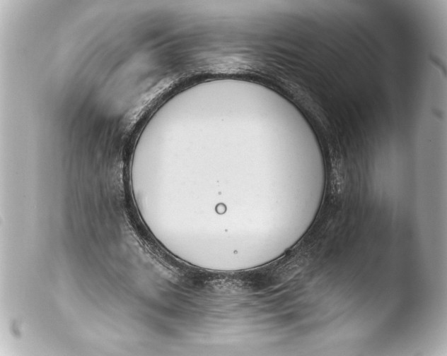 X0000103950535200810031348