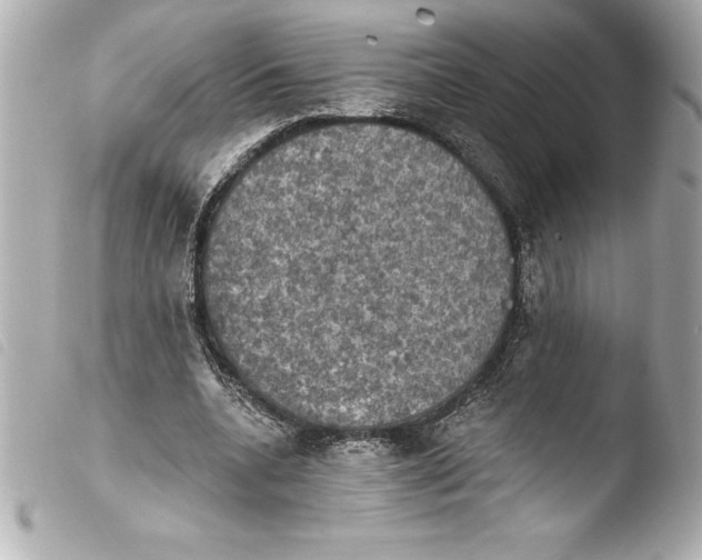 X0000103950536200810031348