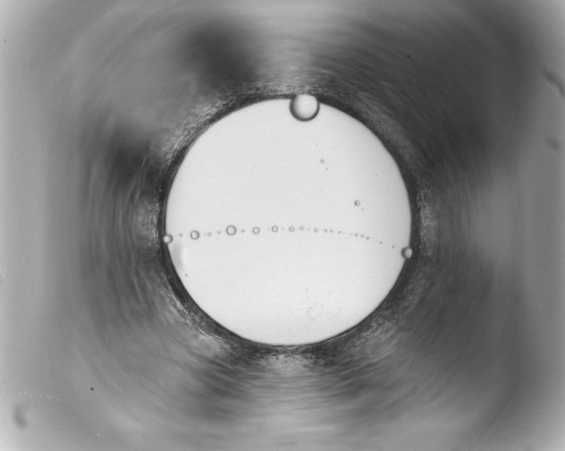 X0000103950537200810031348