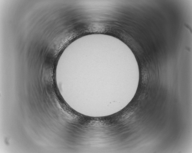 X0000103950538200810031348