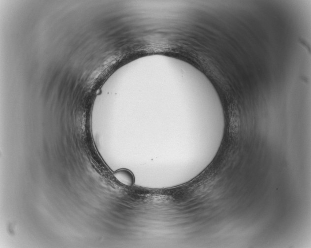 X0000103950539200810031348