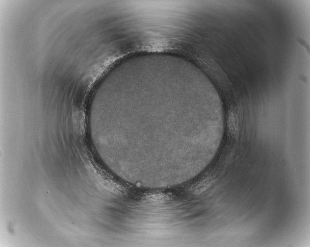 X0000103950540200810031348