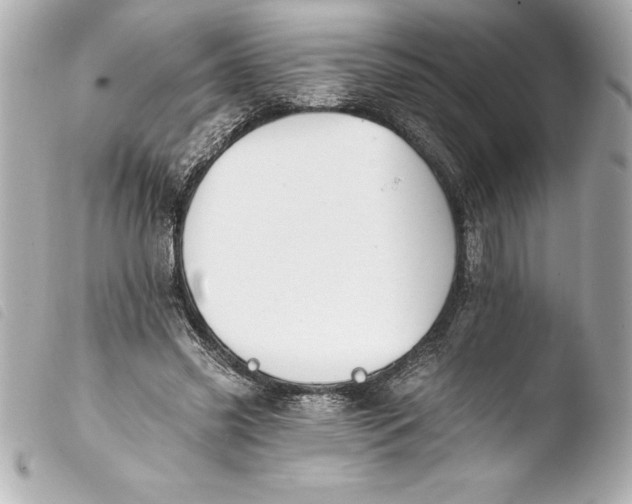 X0000103950541200810031348