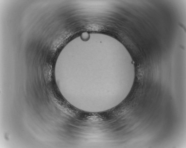 X0000103950544200810031348