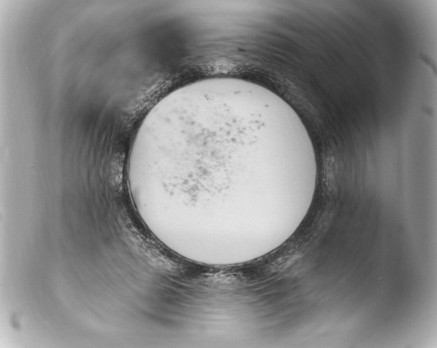 X0000103950545200810031348