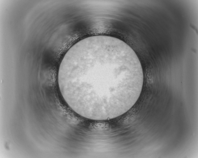 X0000103950546200810031348