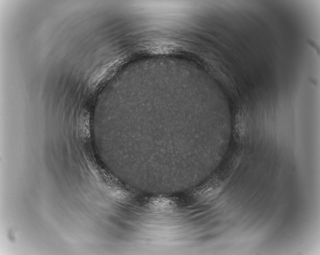 X0000103950547200810031348