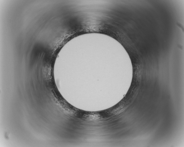 X0000103950548200810031348