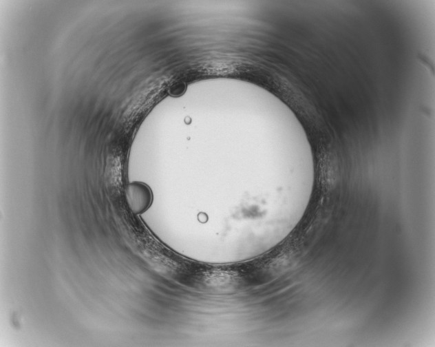 X0000103950549200810031348