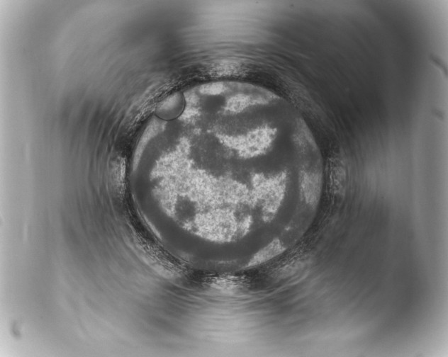 X0000103950550200810031348