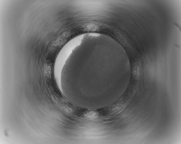 X0000103950551200810031348