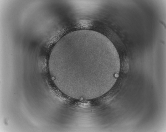 X0000103950552200810031348