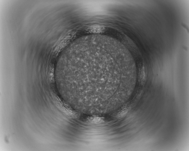 X0000103950553200810031348