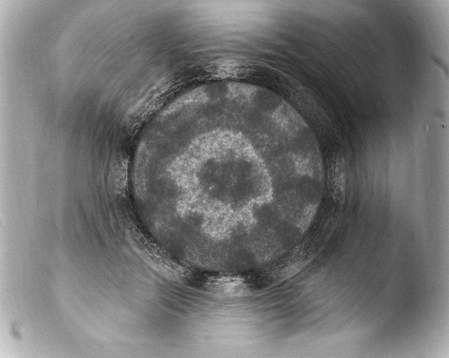 X0000103950554200810031348