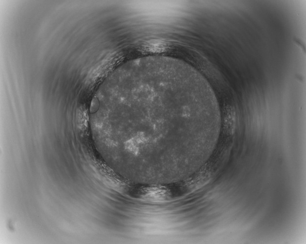 X0000103950555200810031348