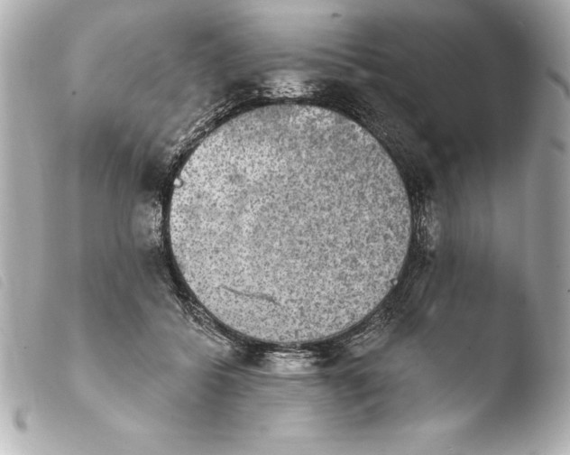 X0000103950556200810031348