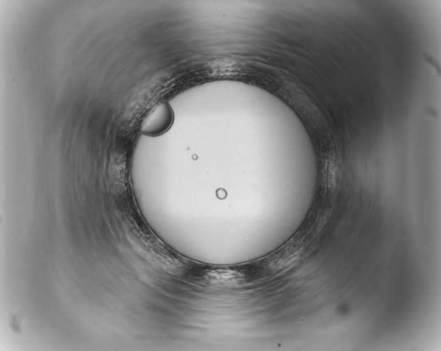 X0000103950557200810031348