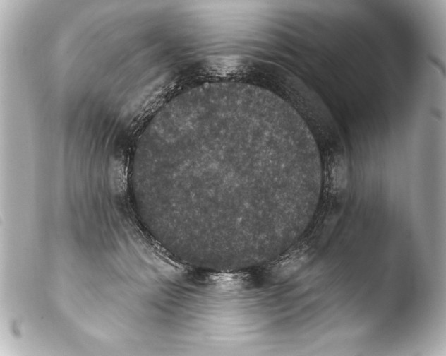 X0000103950558200810031348