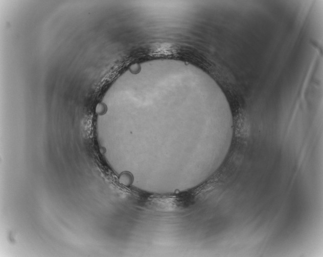 X0000103950560200810031348