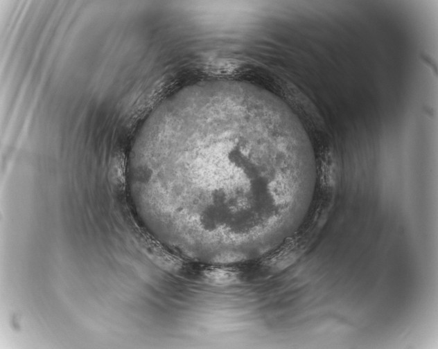 X0000103950561200810031348