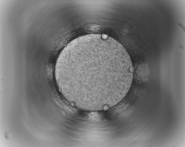 X0000103950562200810031348