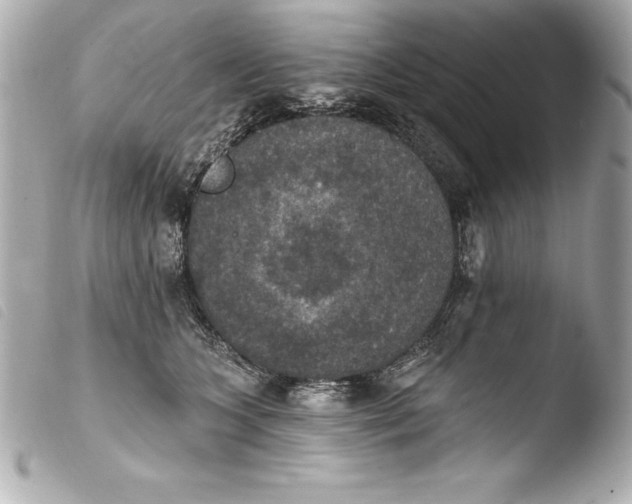 X0000103950563200810031348