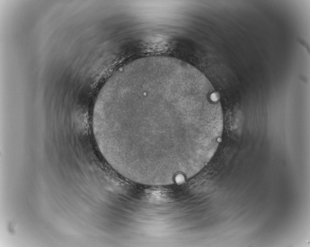 X0000103950564200810031348