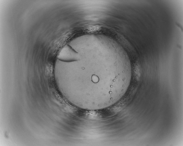 X0000103950565200810031348