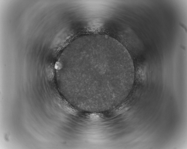 X0000103950566200810031348