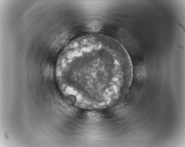 X0000103950568200810031348