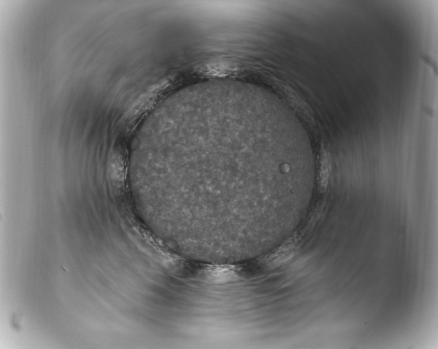 X0000103950569200810031348