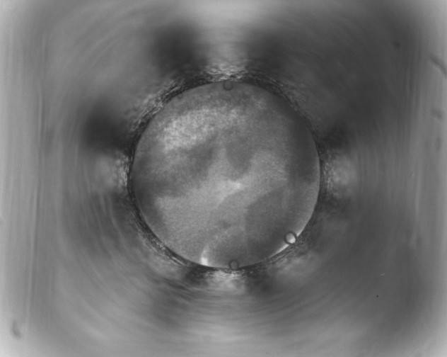 X0000103950570200810031348