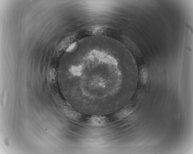 X0000103950571200810031348