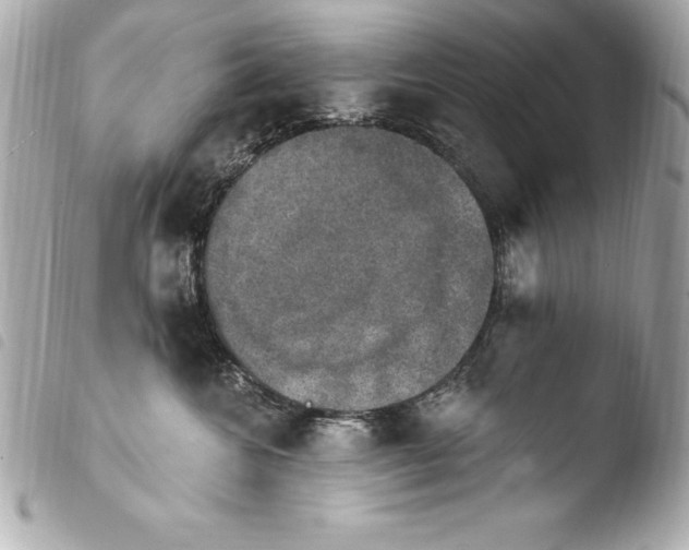 X0000103950572200810031348