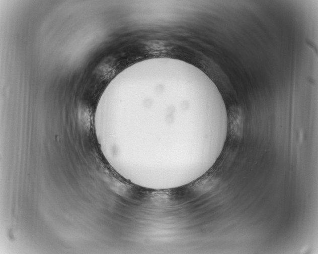 X0000103950574200810031348